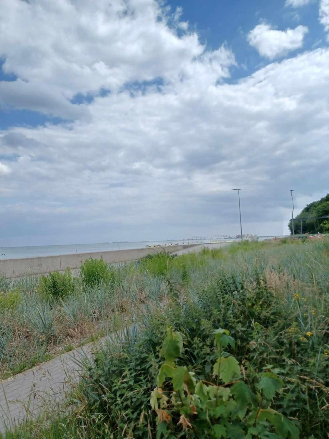 Domek Holenderski, Ogrod, Blisko Plazy, Gdynia Wakacje Na Luzie ภายนอก รูปภาพ