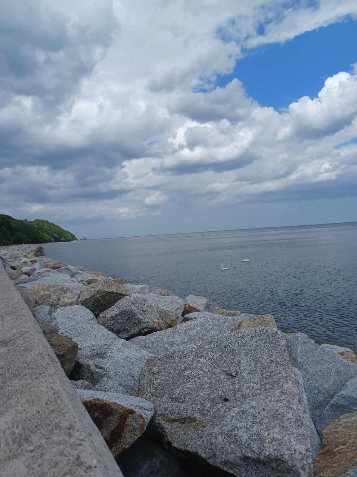 Domek Holenderski, Ogrod, Blisko Plazy, Gdynia Wakacje Na Luzie ภายนอก รูปภาพ